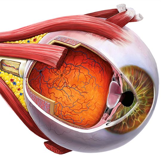 Glaucoma Treatment